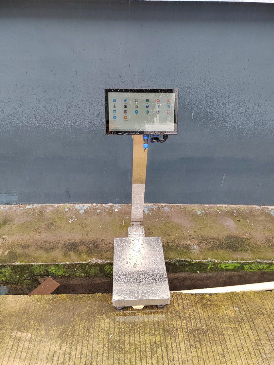全防水安卓系统智能称可二次开发的电子台秤智能防水秤100㎏