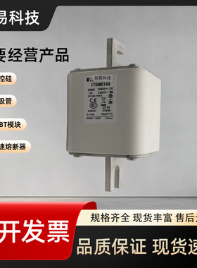170M6193 170M6194 170M6195 170M6196 170M6197熔断器170M系列