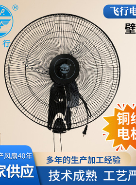 飞行牌18寸牛角叶壁扇大风力450mm拉制挂墙扇墙上扇【蓝色】