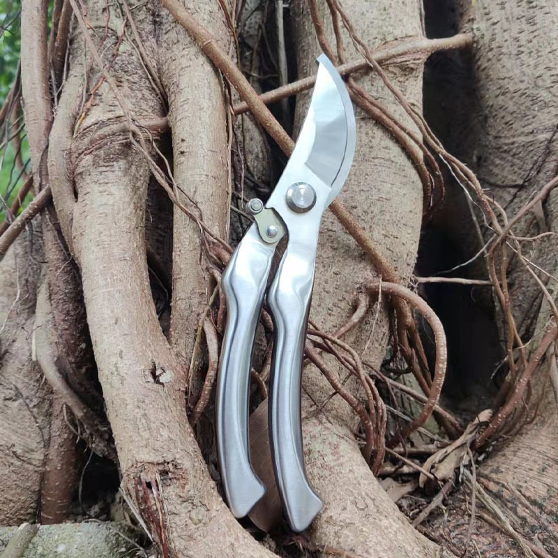 不锈钢树枝剪园林剪刀果树粗枝剪园艺修花盆景修枝剪花艺工具