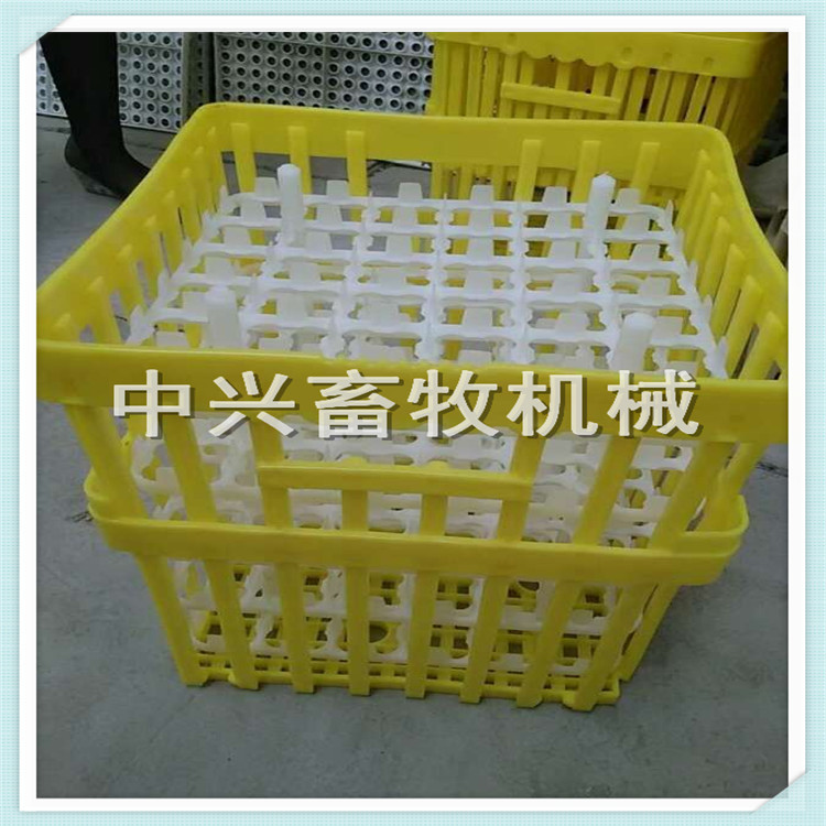 批发种蛋运输筐 36枚种蛋筐 塑料种蛋箱 鸭蛋筐