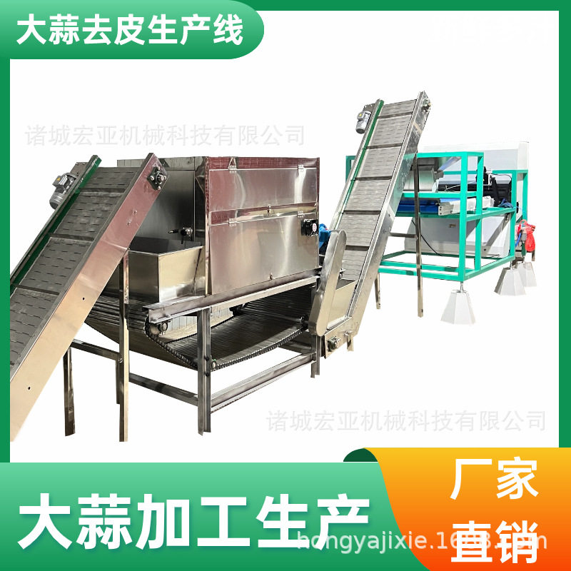 大蒜脱皮生产线 蒜头分瓣去皮加工设备 食堂用大蒜去皮机