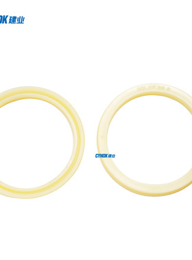 ODI 120*105*10，ODI型活塞专用密封件，FU1213H0（主图仅参考）