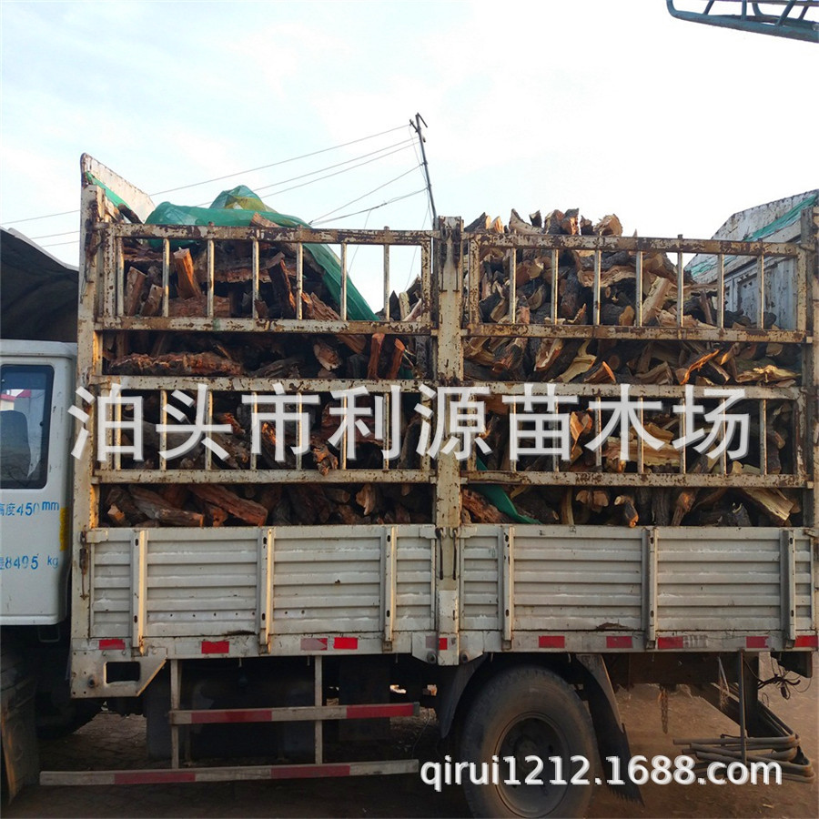 厂家供应果木泊头市利源苗木场大量出售烤鸭劈柴鸭柴枣木烤鸭劈柴