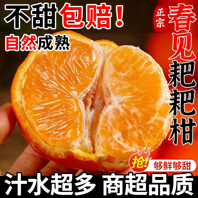 四川春见耙耙柑粑粑柑正宗水果新鲜整箱当季包邮丑桔橘10斤杷杷柑,水产肉类/新鲜蔬果/熟食,桔子,淘宝优惠券,粉丝福利购,淘宝优惠卷