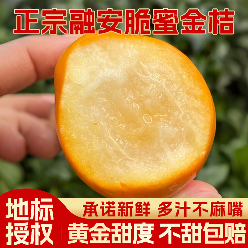 正宗广西融安脆蜜金桔官方旗舰店第三代脆蜜金柑礼盒水果独立包装