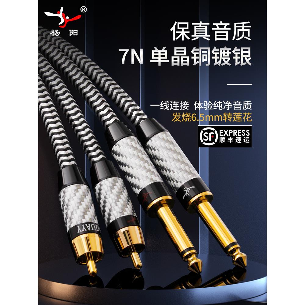 杨阳发烧单晶铜镀银6.5转莲花音频线大二芯转RCA音响调音台连接线