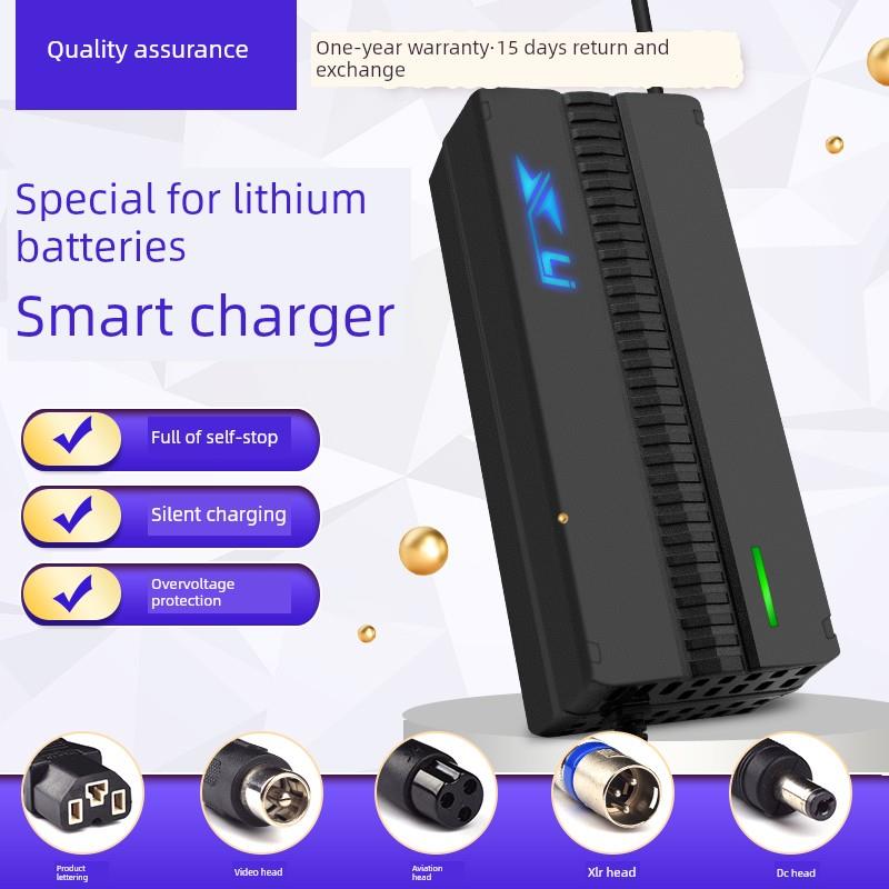 79.8V2A8A10A79.8V高功率快充锂电池