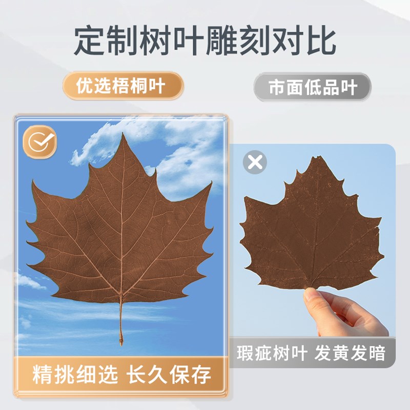 梧桐树叶雕刻照片定制情人节礼物diy纪念品创意礼品生日礼物礼盒