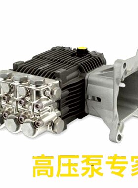 意大利AR高压汽油机水泵30MPa