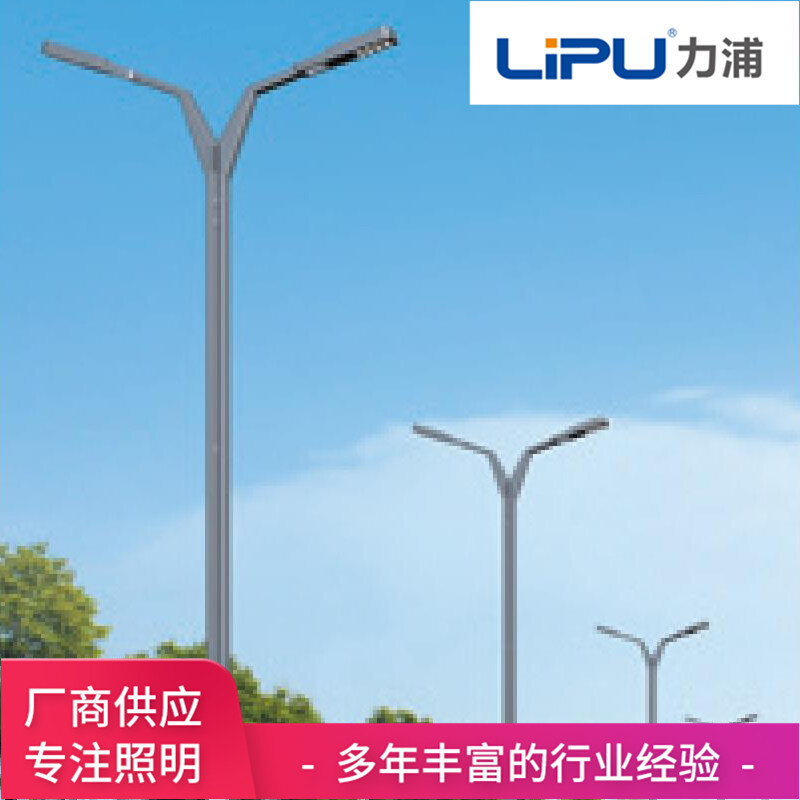 厂家直供LED市电路灯 6米8米太阳能路灯 户外双臂双头LED路灯杆