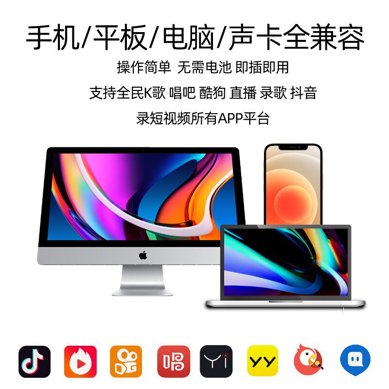 盈尔 全民k歌手机迷你麦克风型直播主播唱歌手持小话筒网红神器