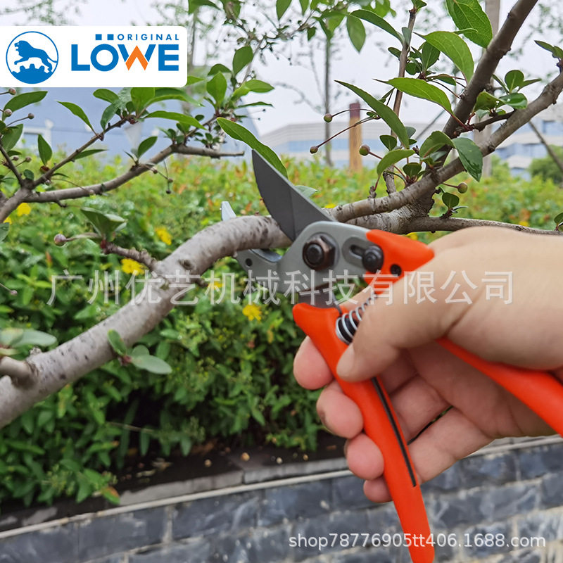 德国狮牌LOWE15园艺剪枝剪刀修枝剪果树不锈钢园林花艺剪子工具
