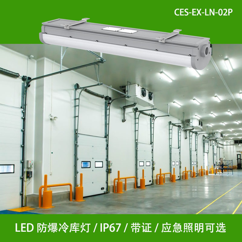 LED冷库专用灯LED防爆灯耐低温IP67防水20W-100W功率可选