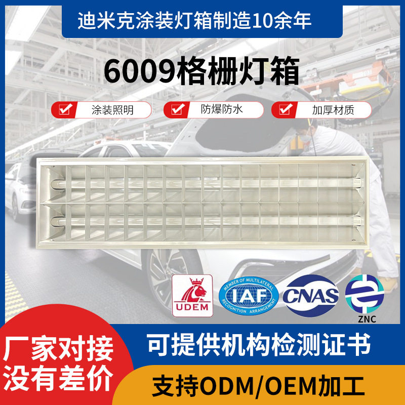 厂家供应涂装汽车制造DMK-6009格栅灯箱照明灯箱工业