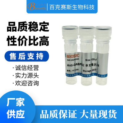 Anti-GABPB2 Monoclonal antibody实验用单克隆抗体
