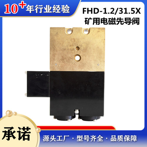 郑煤机FHD-1.2/31.5X 矿用本质安全型电磁先导阀DXF03A2