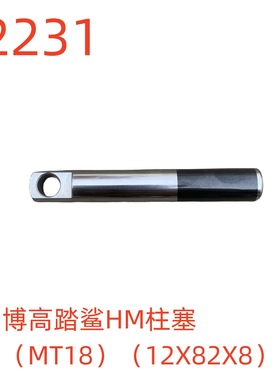 博高踏鲨HM柱塞（MT18）（12X82X8）-52231号