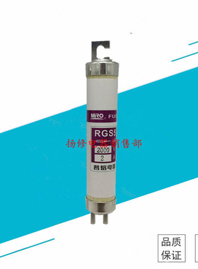 茗熔 RGS5-2000V 1A 2A 4A 6A 10A 16A 20A 25A快速熔断器 保险丝