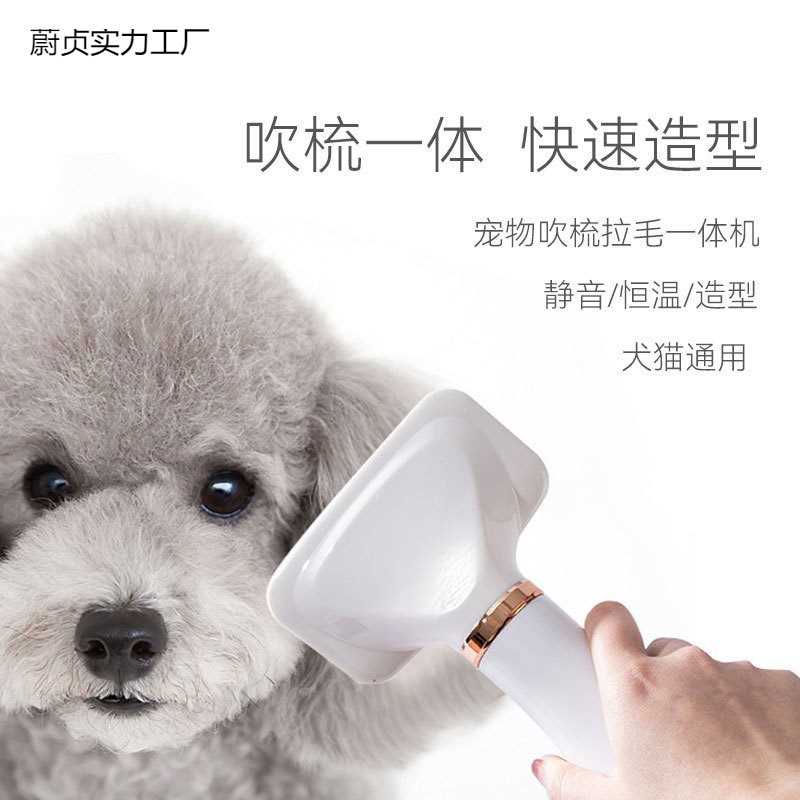 一体机宠物烘干毛器洗澡梳子猫咪用品电吹风吹拉毛梳狗狗吹风