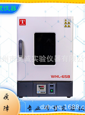 泰斯特WHLL-125BE立式电热恒温干燥箱WHL-125L高温老化箱 工业烘
