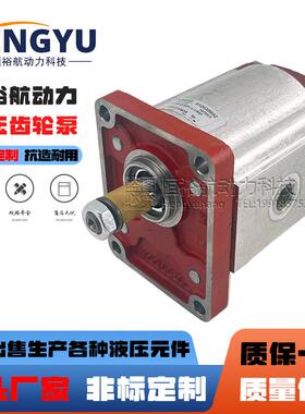 萨拉米油泵SALAMI齿轮泵2PE26D-P28P1-V-VS402PE6.5D-P28液压泵