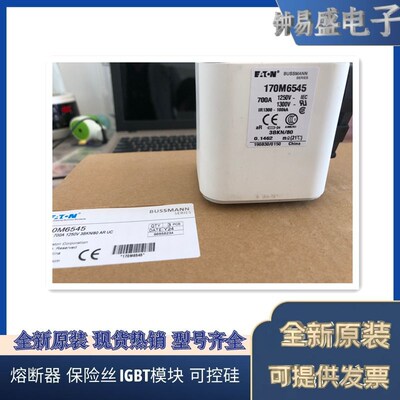 美国BUSSMANN熔断器170M6562  170M6563  170M6564  170M6565