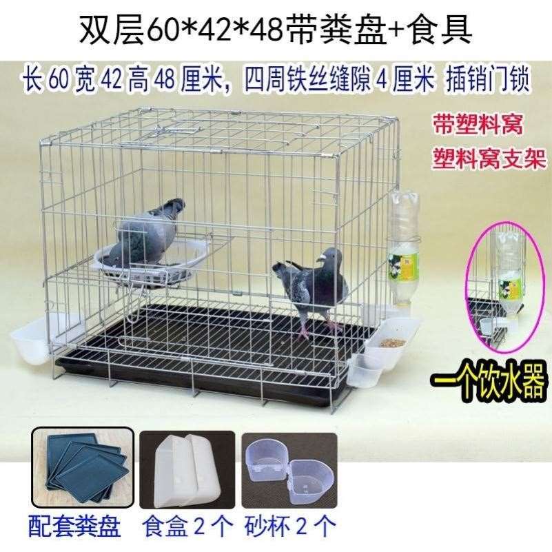 大号加粗鸽子用品用具12位16位养殖鸽子笼信鸽配对笼肉鸽繁殖笼子