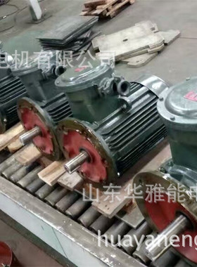 替代WEG电机YZPE180L-4-22电机YZP电机各种异电压异频率匠心打造