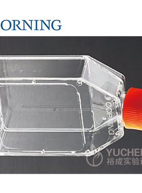 细胞培养瓶 透气盖/密封盖 TC处理 430168 430639 430641 430720