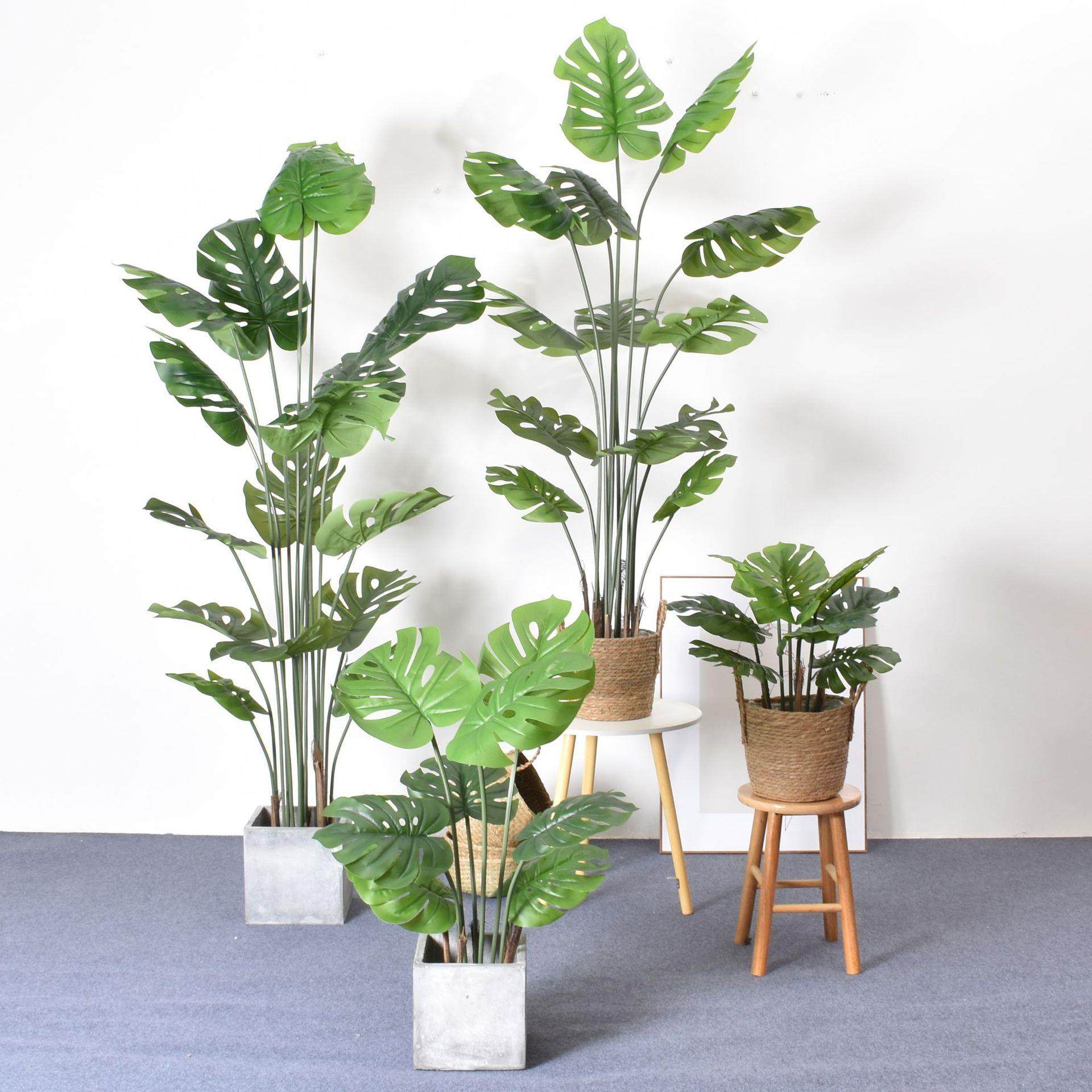 大型龟背竹仿真绿植造景组合PE客厅酒店玄关落地盆栽厂家直销现货,鲜花速递/花卉仿真/绿植园艺,仿真绿植,淘宝优惠券,粉丝福利购,淘宝优惠卷