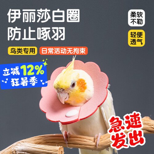 鹦鹉鹦鹉防咬脖套受伤保护项圈