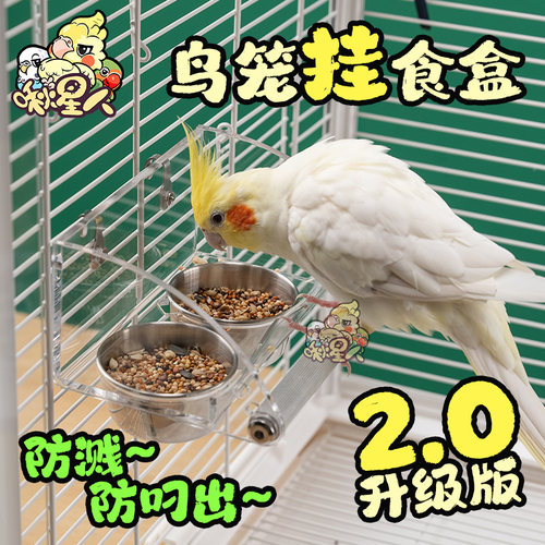 鹦鹉防溅双食盒不锈钢悬挂喂食器喂水器牡丹虎皮玄凤喂食槽鸟用品 - 封面
