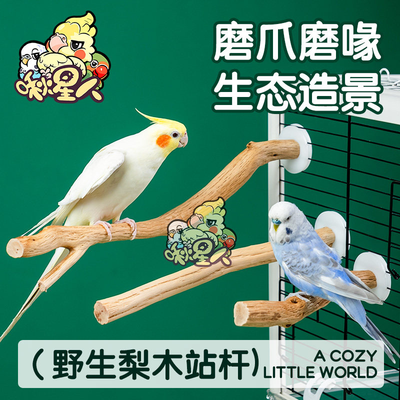 鹦鹉梨木磨爪站杆树杈站架装饰笼