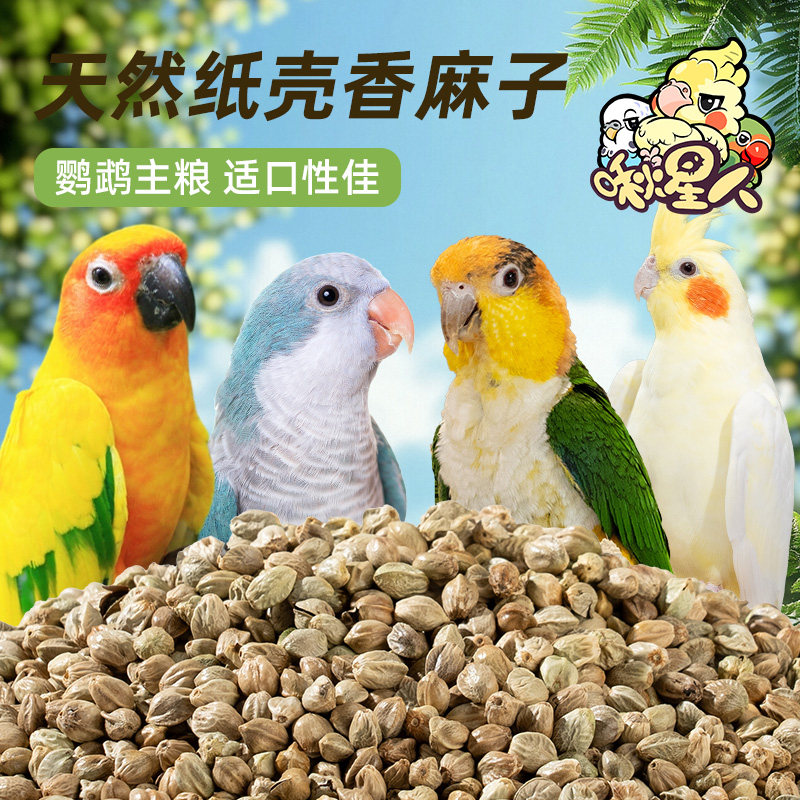 纸壳麻子鹦鹉训练奖励零食牡丹小太阳专用营养谷物小零食鸟食增肥,宠物/宠物食品及用品,鸟禽其他,淘宝优惠券,粉丝福利购,淘宝优惠卷