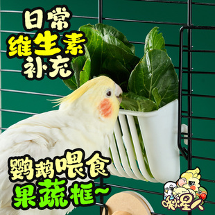 鹦鹉水果篮蔬菜框挂式喂食器觅食鸟食盒玄凤牡丹食物夹玩具鸟用品