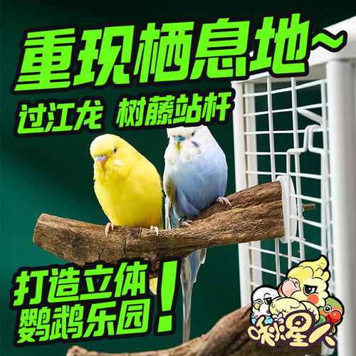 啾星人鹦鹉站杆造景站杆