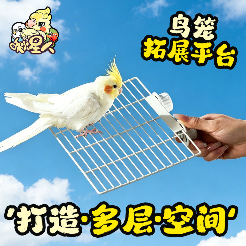 啾星人鹦鹉休息平台喂食玩耍图片