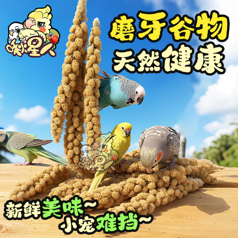 鹦鹉谷穗幼鸟学吃手养黄谷子麦穗小米玄凤虎皮饲料鸟零食天然鸟食,宠物/宠物食品及用品,鸟食,淘宝优惠券,粉丝福利购,淘宝优惠卷