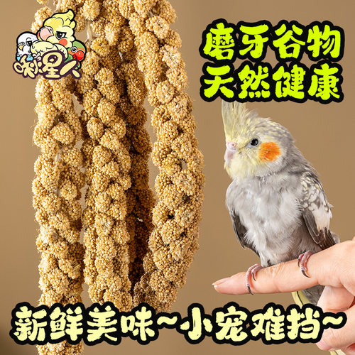 啾星人宠物天然谷穗鸟食营养爱吃