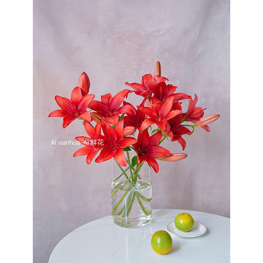 喜庆年宵花红红火火红宝石亚百合鲜花插花水养云南直发节日送花