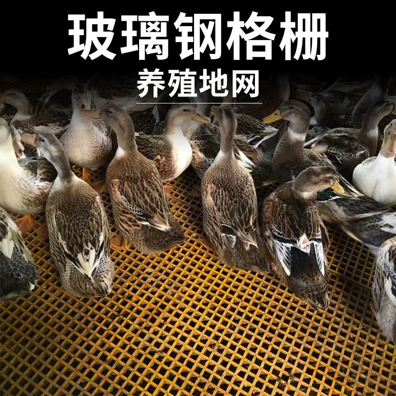 玻璃钢格栅养殖地网养鸡养鸭养鹅鸽舍漏粪盖板网格板养殖场格栅
