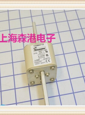 极速全新熔芯,底座,熔断器170M4710热卖保险丝