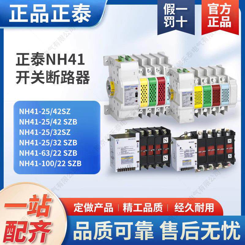 PC级4智能双电源自动2P转换开关断路器NH41-25/42SZ二极四相