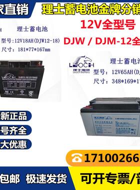 LEOCH理士蓄电池 DJW/DJM 12V18AH20AH24AH26AH38AH40AH65AH100AH
