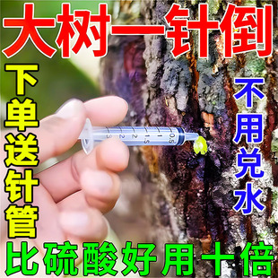 烂根除大树专用药一滴树死强力杀树根药灭树粉树枯死大树一针死