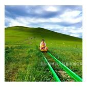 景区户外游乐滑草场极限轨道滑草设备车不锈钢滑道四季 旱滑滑雪