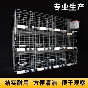 鸽子笼养殖笼养鸽子的笼子16位肉种鸽繁殖笼12位配对笼家用信鸽笼