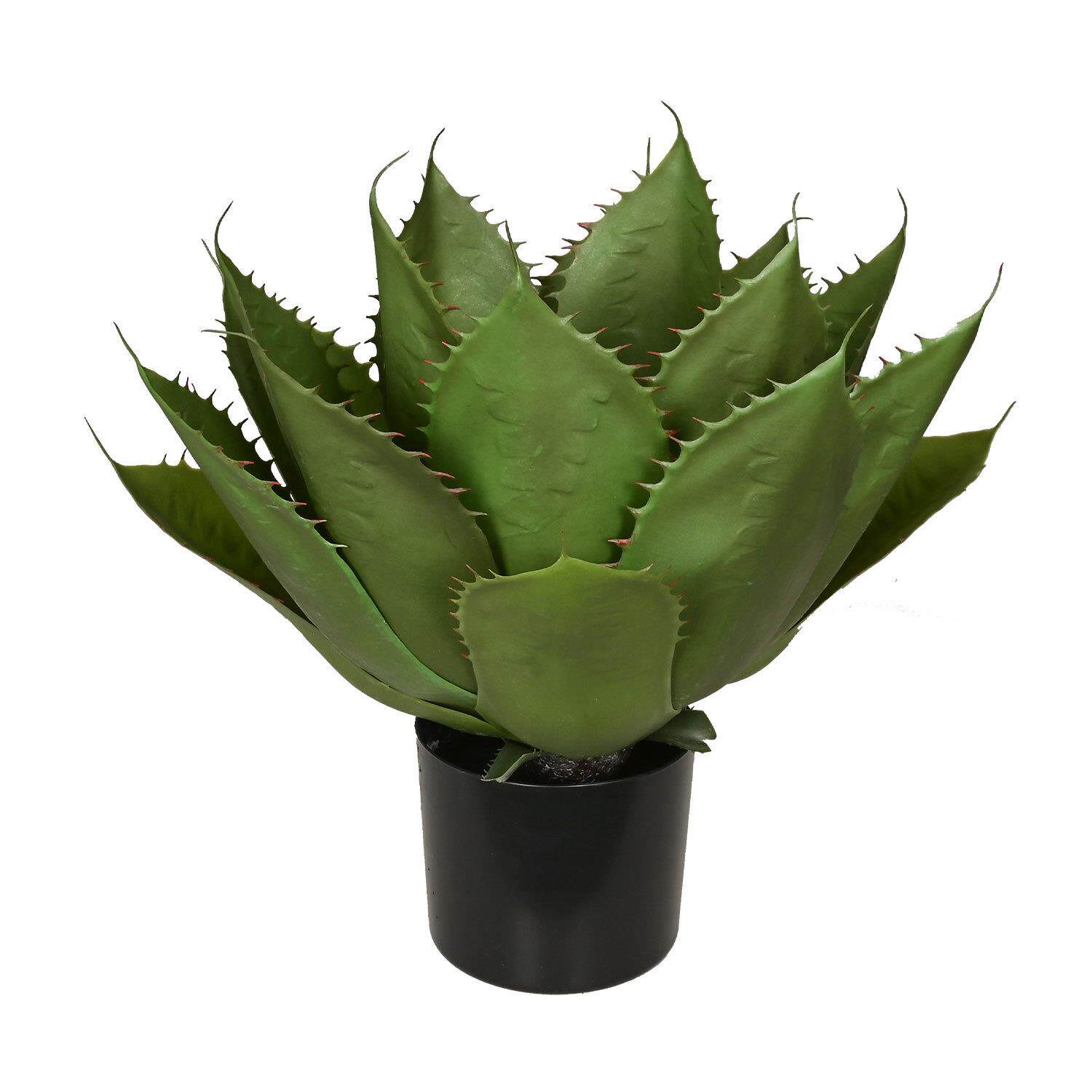 仿真帝王观音莲芦荟多肉植物盆栽室内家居门店装饰绿植摆件观音莲