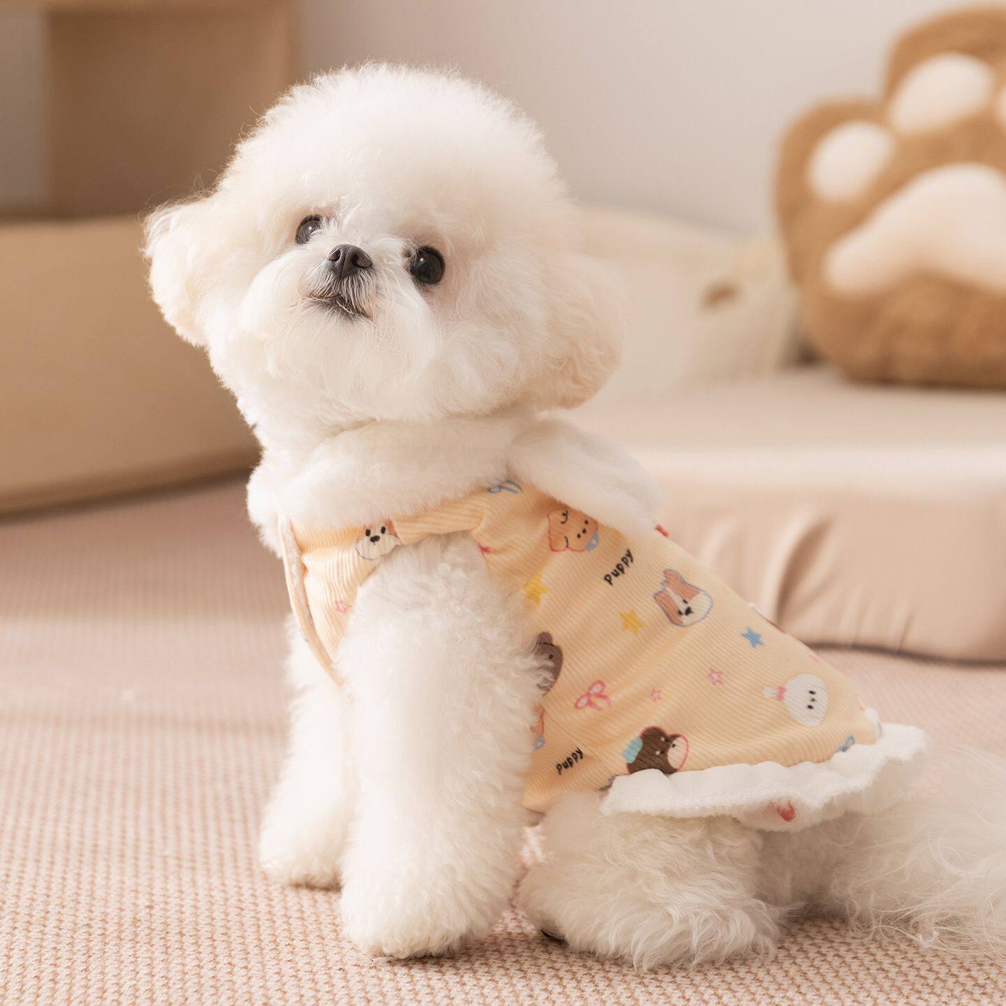 狗狗衣服秋冬加厚加绒保暖冬裙两脚可牵引泰迪比熊小型犬宠物衣服